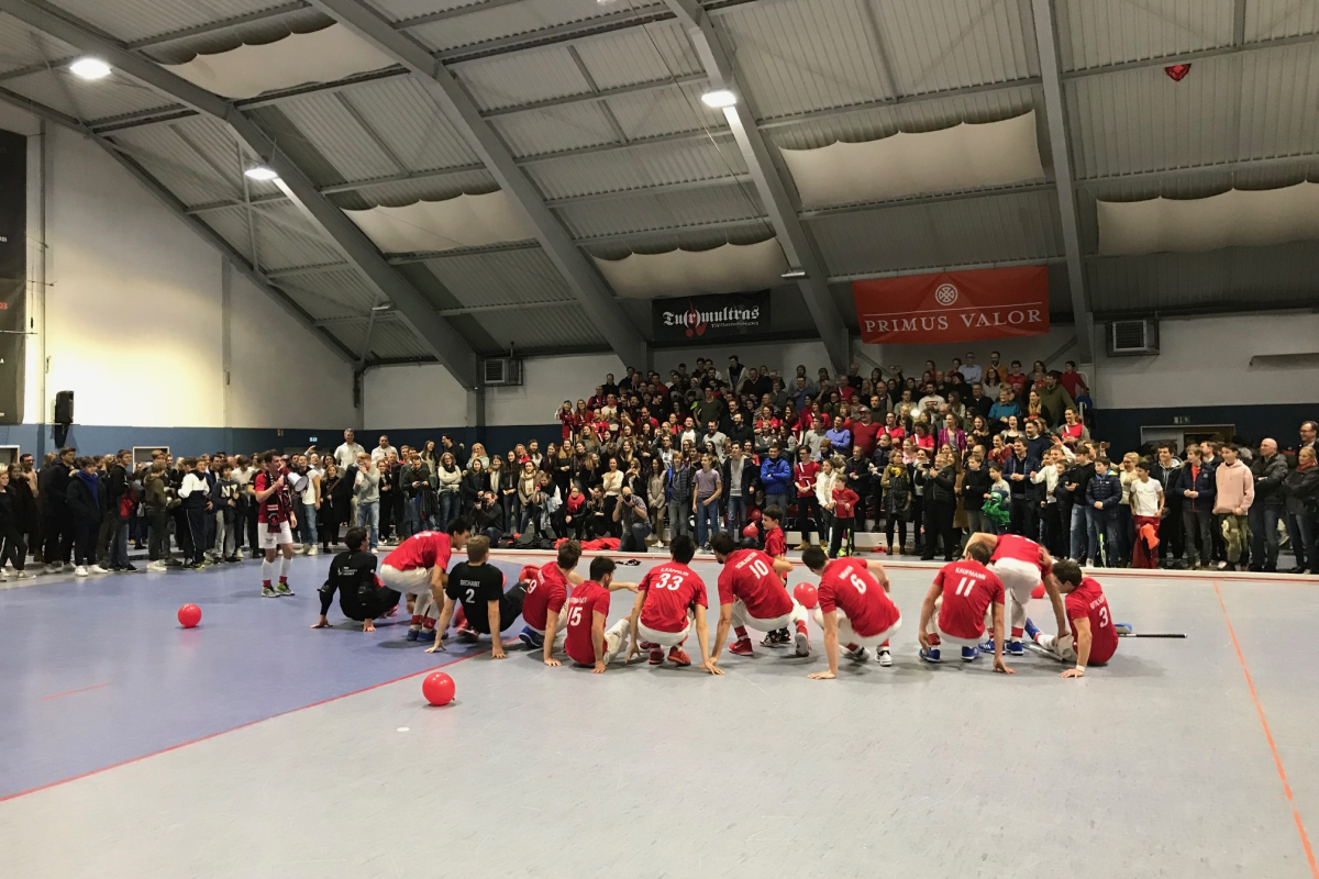 Tigers in der Primus Valor Arena nach dem Derbysieg am 17.01.2018