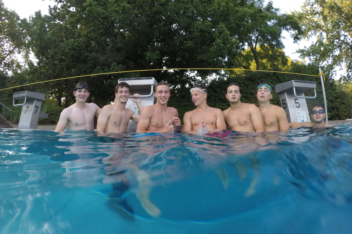 Tigers beim Schwimmtraining im Herzogenriedbad am 02.08.2018