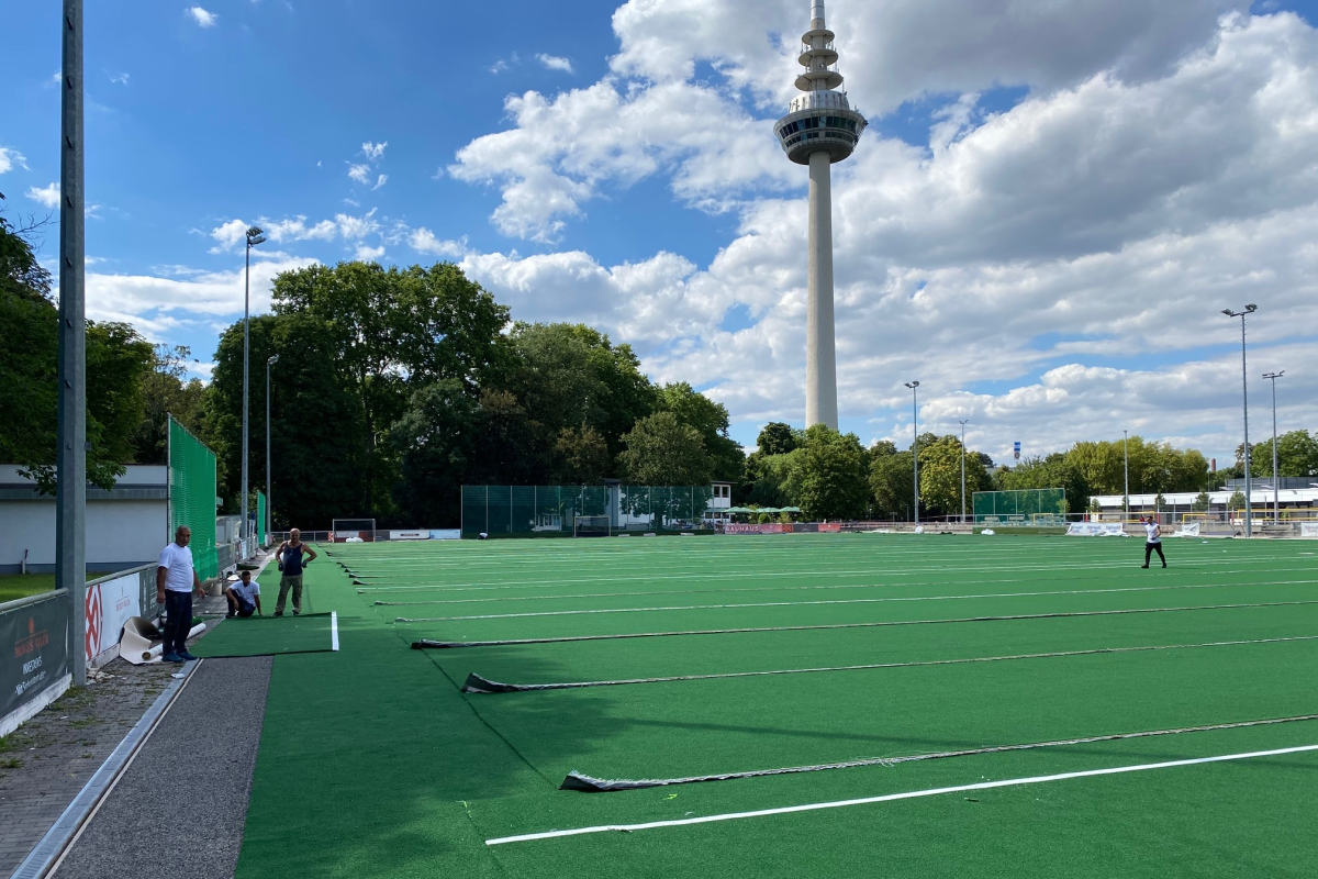 07.07. das neue Grün unterm Fernmeldeturm :-)